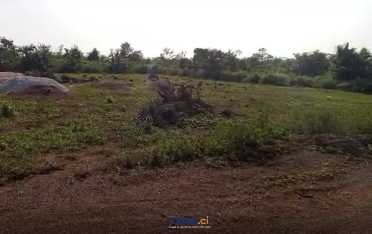 Salon de l'appartement