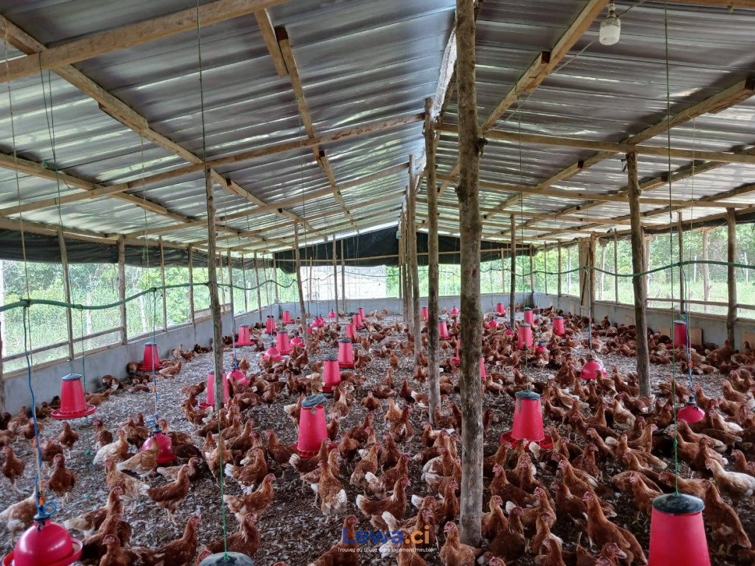 FERME AGRICOLE EN VENTE