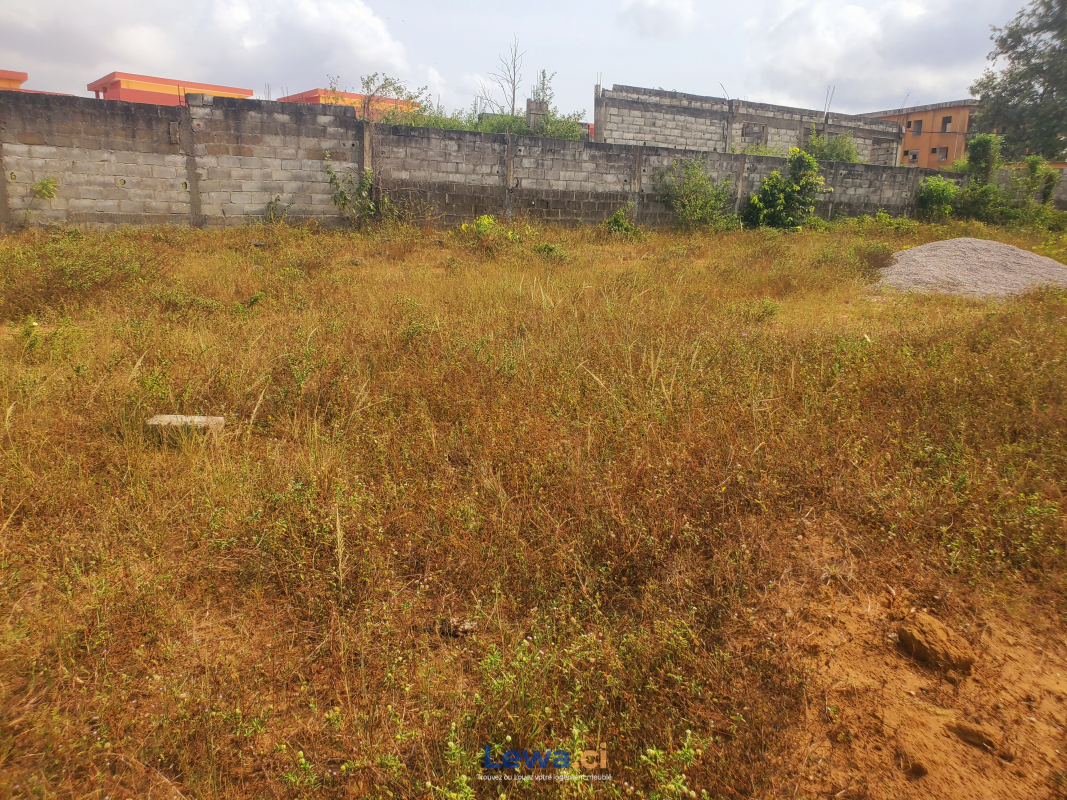 Terrain de 2620m² à biens en vente à Cocody : 350,000FCFA - Demarcho.ci : Terrain à vendre à Cocody. Prix : 350 000 FCFA prix de vente. 2620 m².