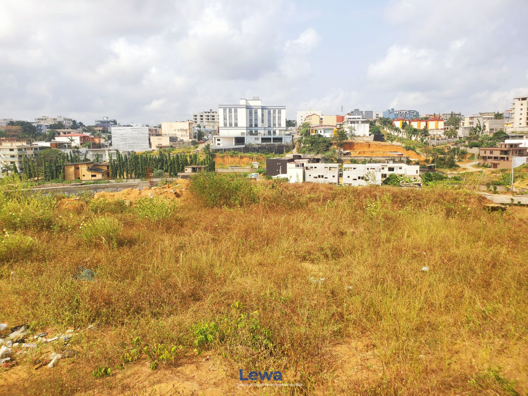 Salon de l'appartement