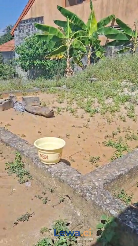 Salon de l'appartement