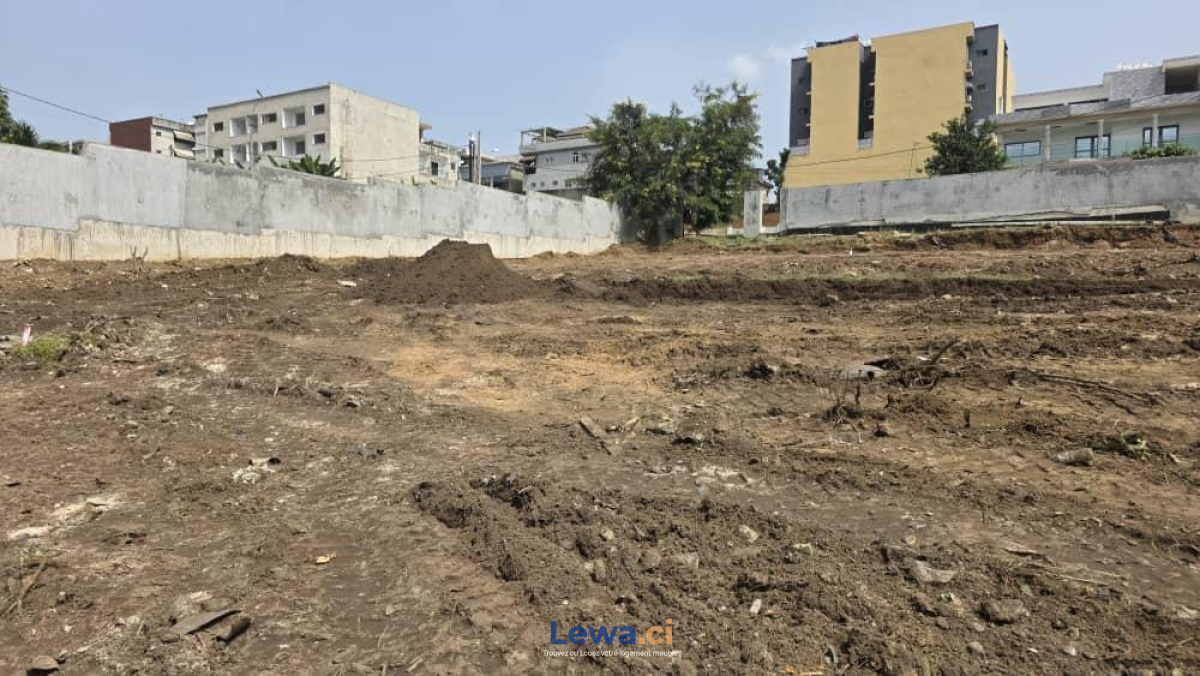 Salon de l'appartement