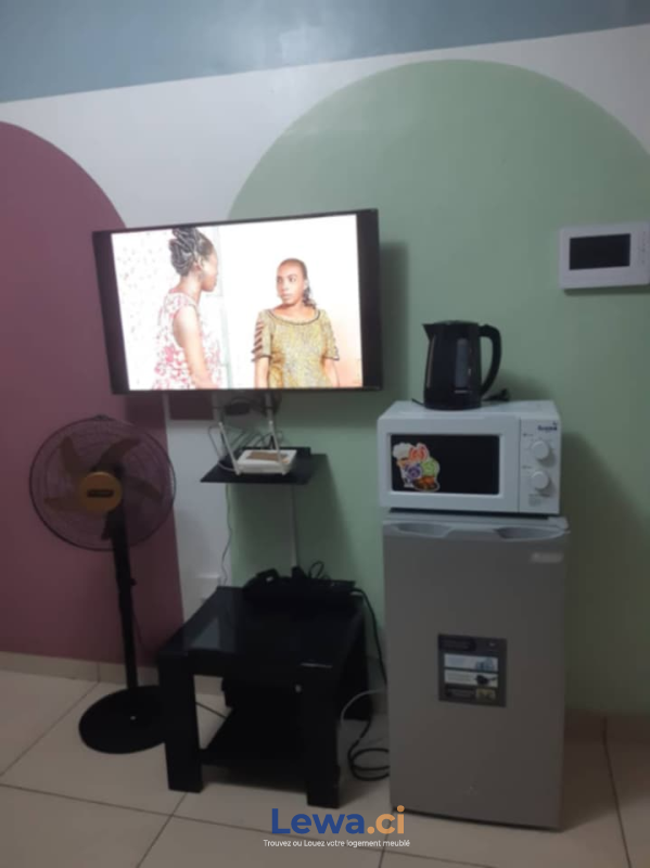 Salon de l'appartement