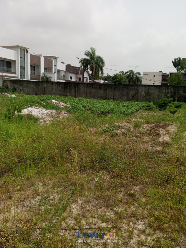 Salon de l'appartement