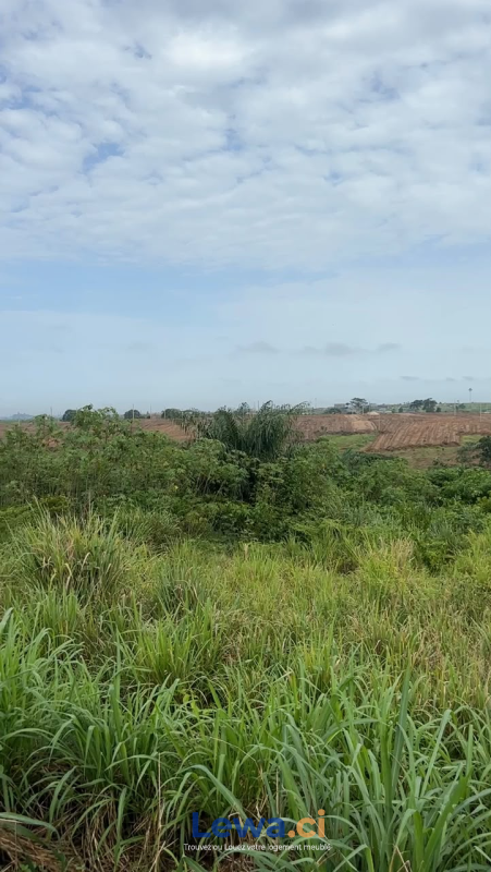 Terrain de 500m² à biens en vente à Cocody : 15 millionsFCFA - Demarcho.ci : Terrain à vendre à Cocody. Prix : 15 000 000 FCFA prix de vente. 500 m².