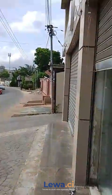 Salon de l'appartement