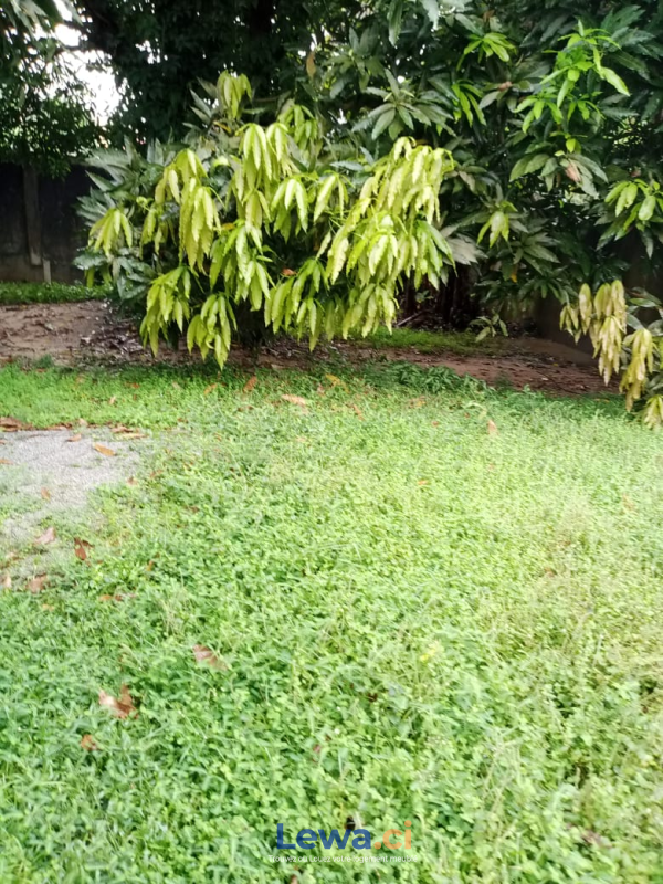 Terrain de à biens en vente à Cocody : 550 millionsFCFA - Demarcho.ci : Terrain à vendre à Cocody. Prix : 550 000 000 FCFA prix de vente.