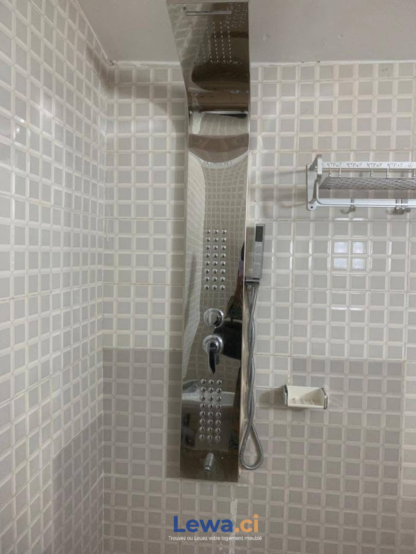 Salon de l'appartement