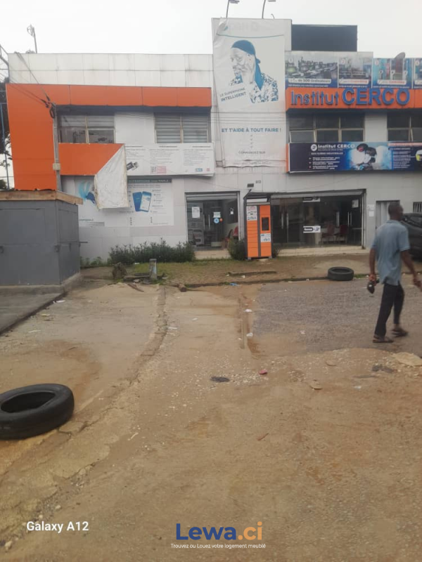 Salon de l'appartement