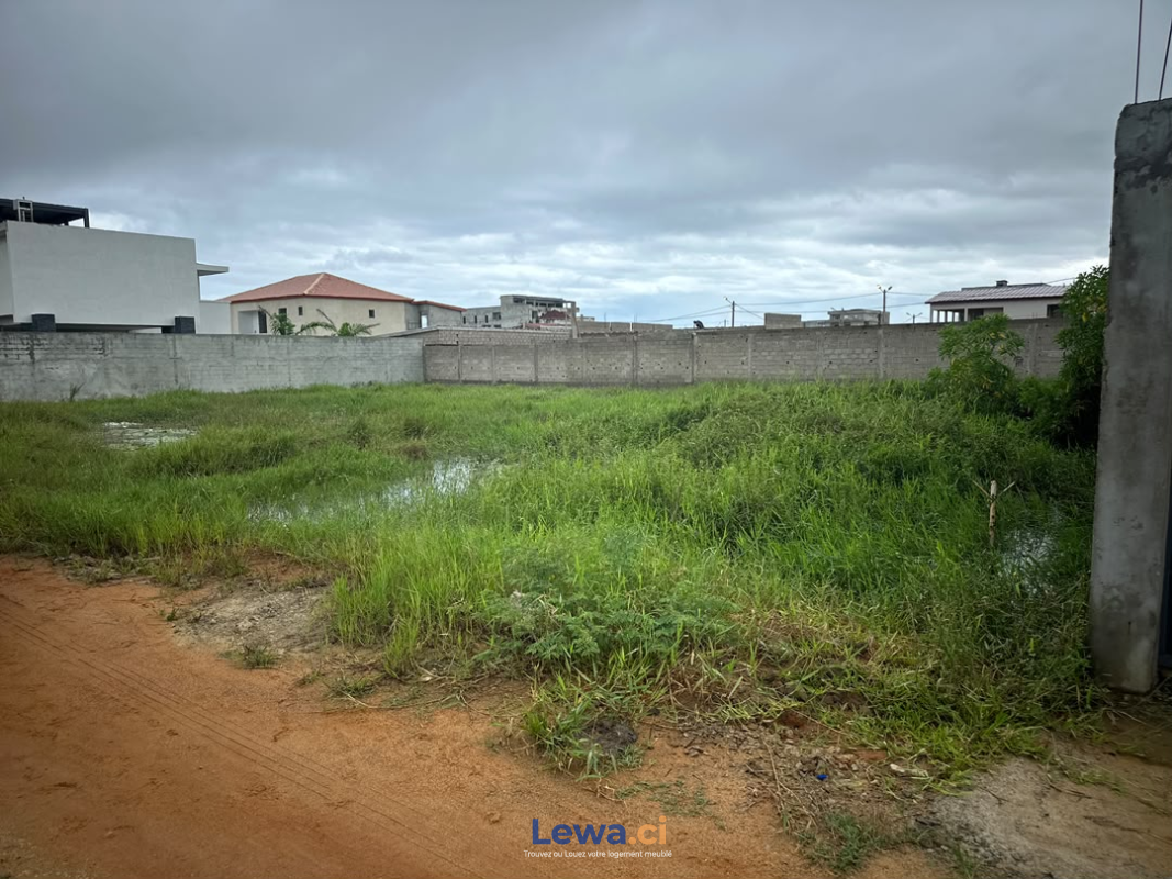 Terrain de 620m² à biens en vente à Grand-bassam : 55 millionsFCFA - Demarcho.ci : Terrain à vendre à Grand-Bassam. Prix : 55 000 000 FCFA prix de vente. 620 m².