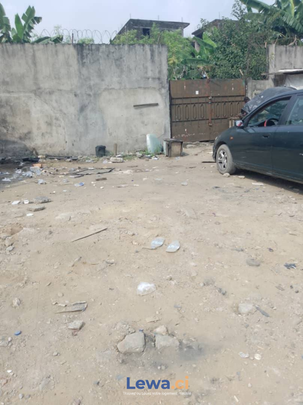 TERRAIN COMMERCIALE EN VENT