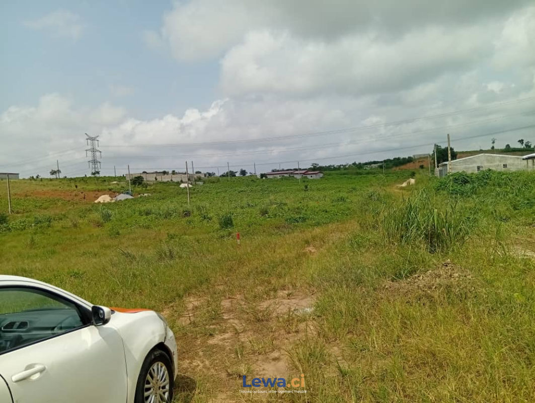 TERRAIN À VENDRE – SONGON ADOKOI