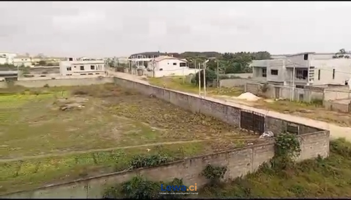 Salon de l'appartement