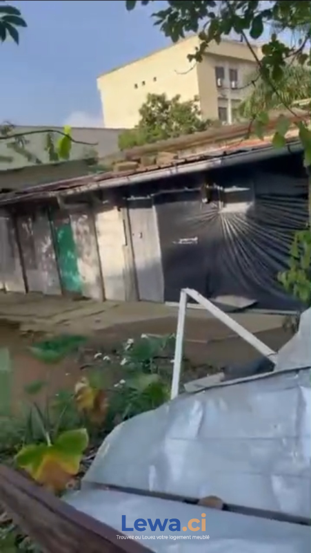 Salon de l'appartement