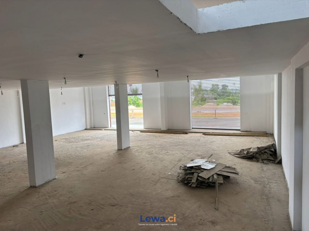 Salon de l'appartement