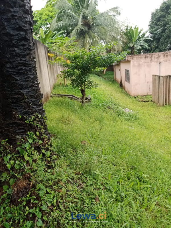 Salon de l'appartement