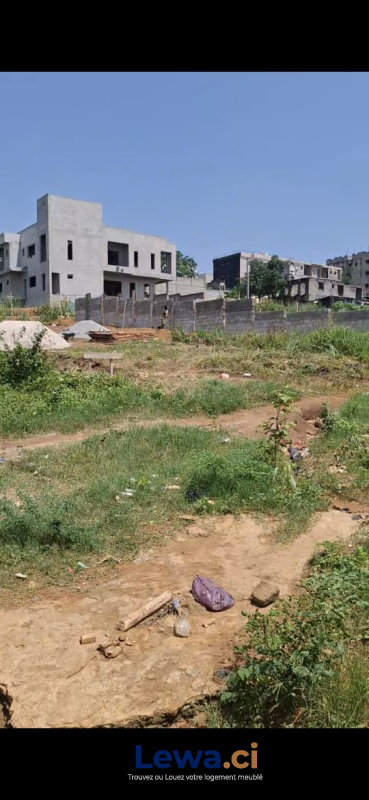 Salon de l'appartement