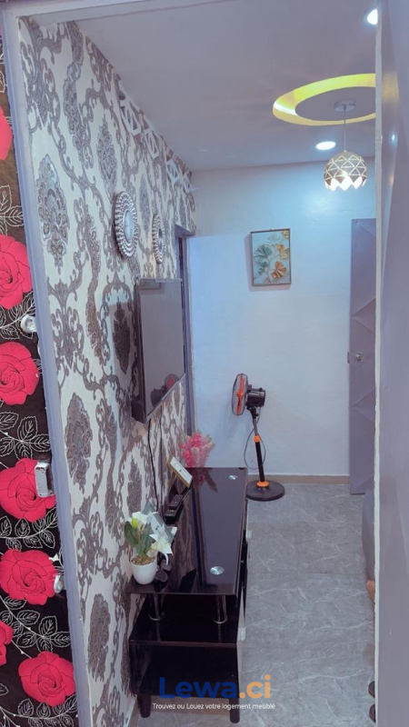 Salon de l'appartement