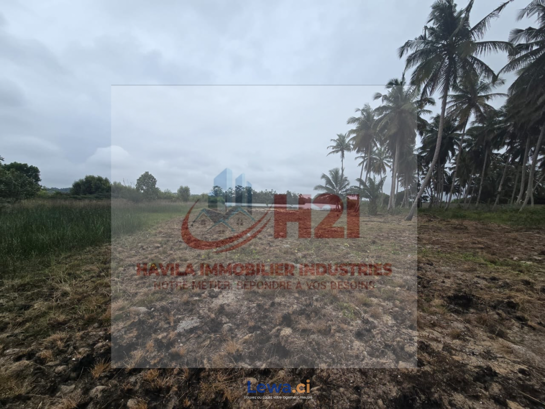 Terrain assinie 1500m2 bordure de lagune