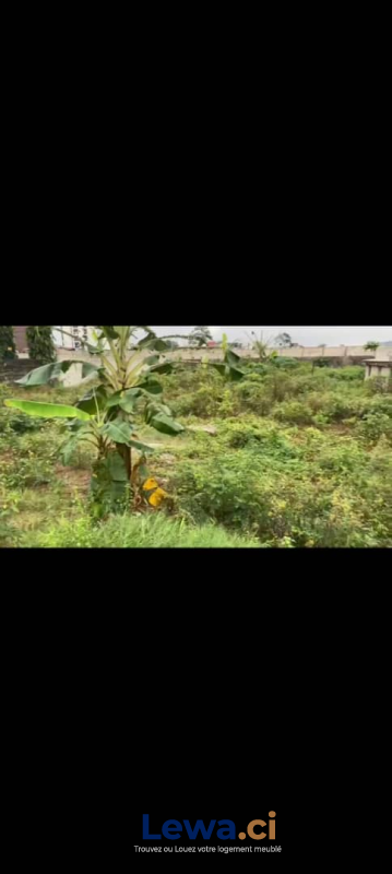 Salon de l'appartement