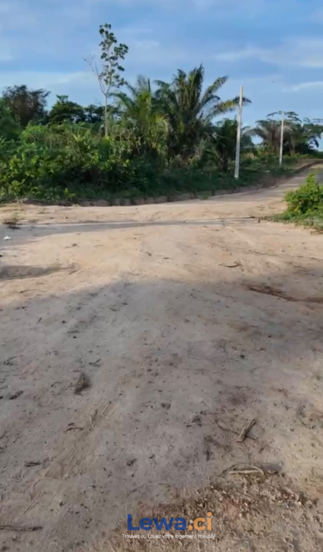 Terrain de 400m² à biens en vente à Agboville : 2,5 millionsFCFA - Demarcho.ci : Terrain à vendre à Agboville. Prix : 2 500 000 FCFA prix de vente. 400 m².
