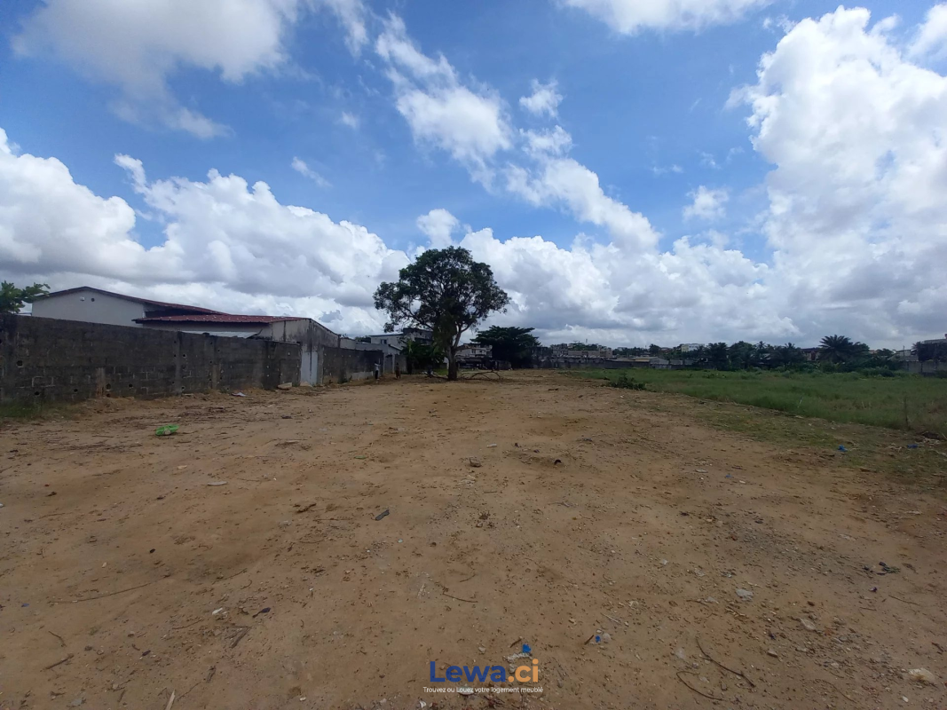 Salon de l'appartement