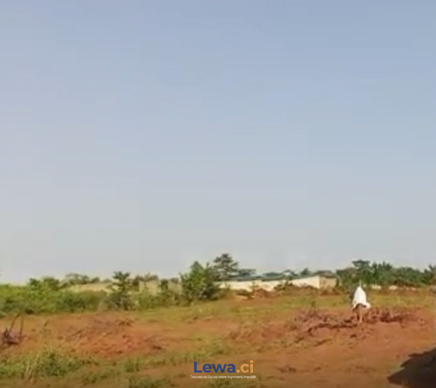 Salon de l'appartement