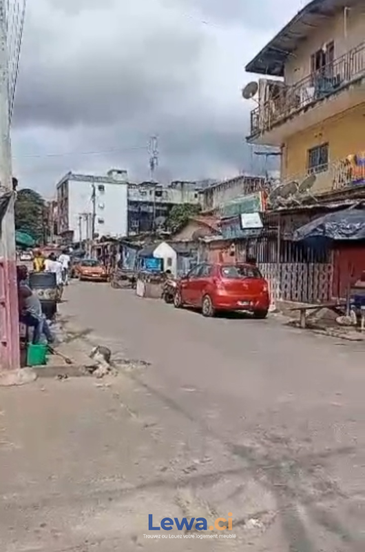 Salon de l'appartement