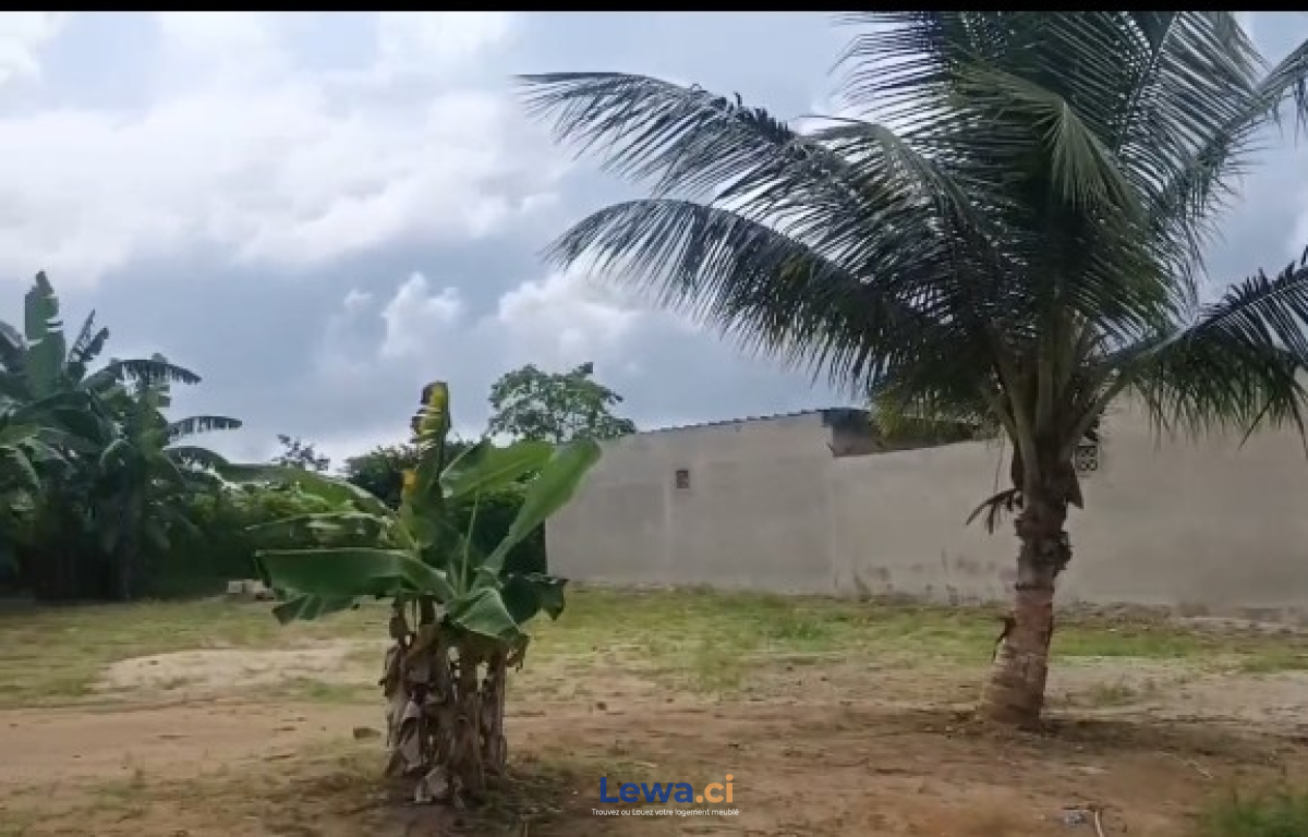 Salon de l'appartement