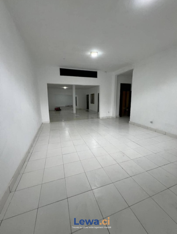 Salon de l'appartement