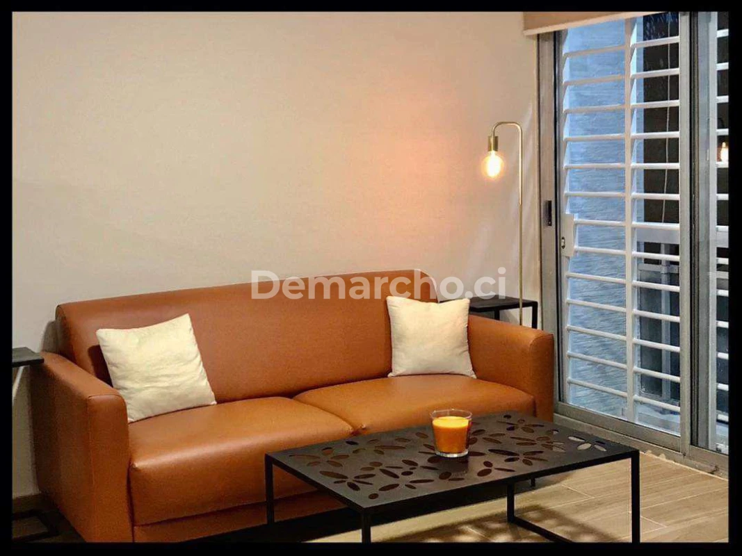Salon de l'appartement