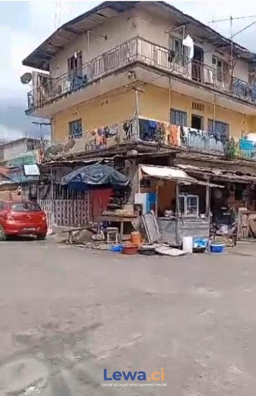 Salon de l'appartement