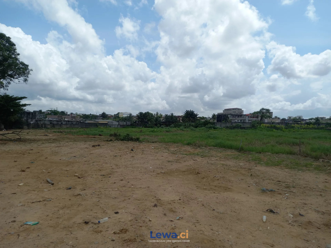 Salon de l'appartement