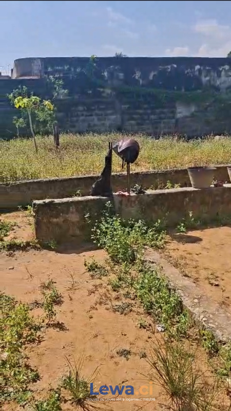 Salon de l'appartement