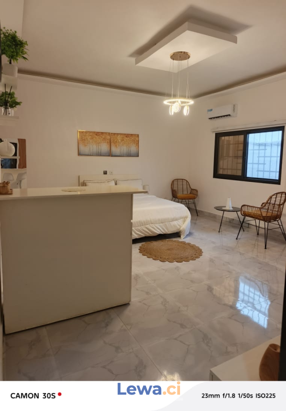 Salon de l'appartement