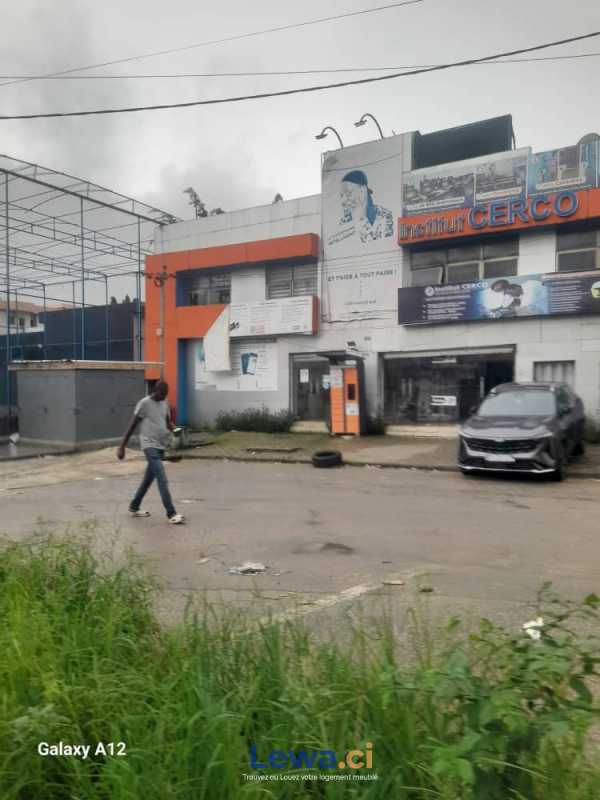 Salon de l'appartement