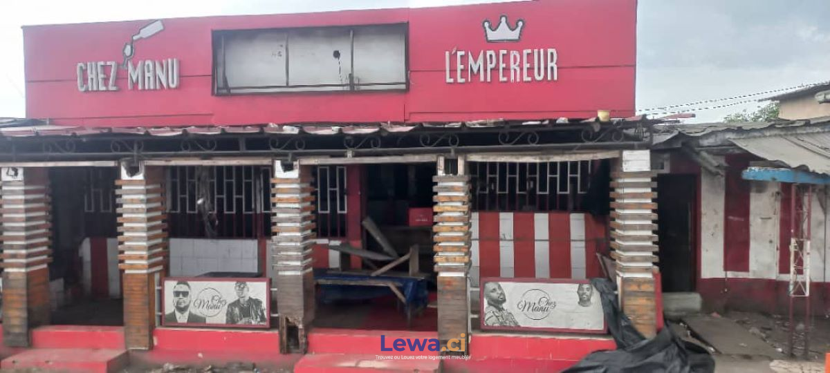 Salon de l'appartement