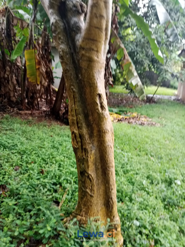 Salon de l'appartement