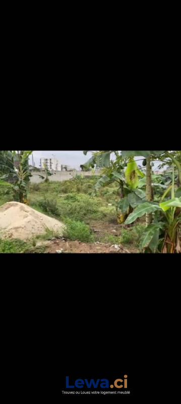 3 TERRAINS COLLES ANGRECHU