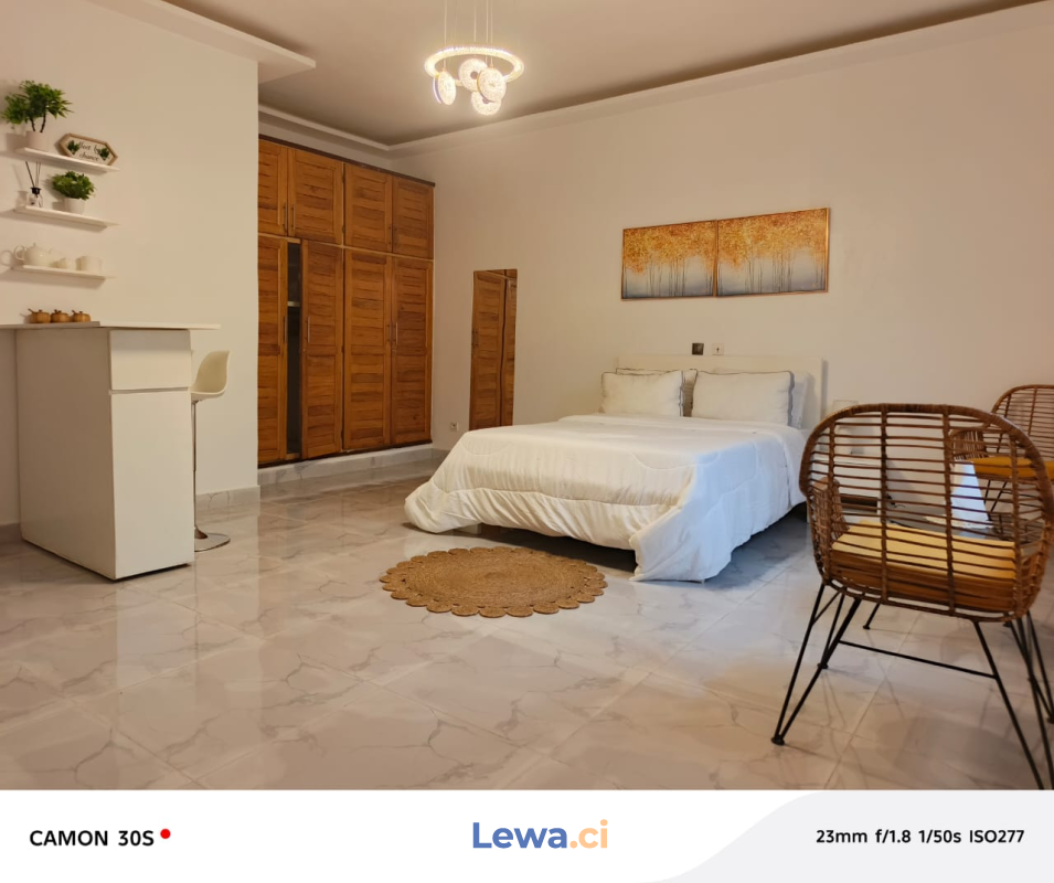 Salon de l'appartement