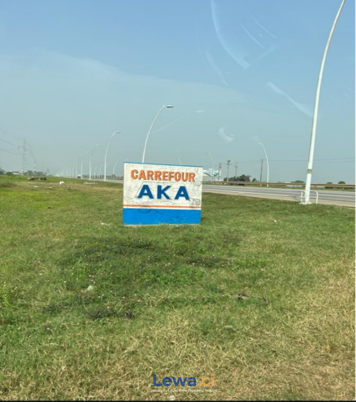 Salon de l'appartement