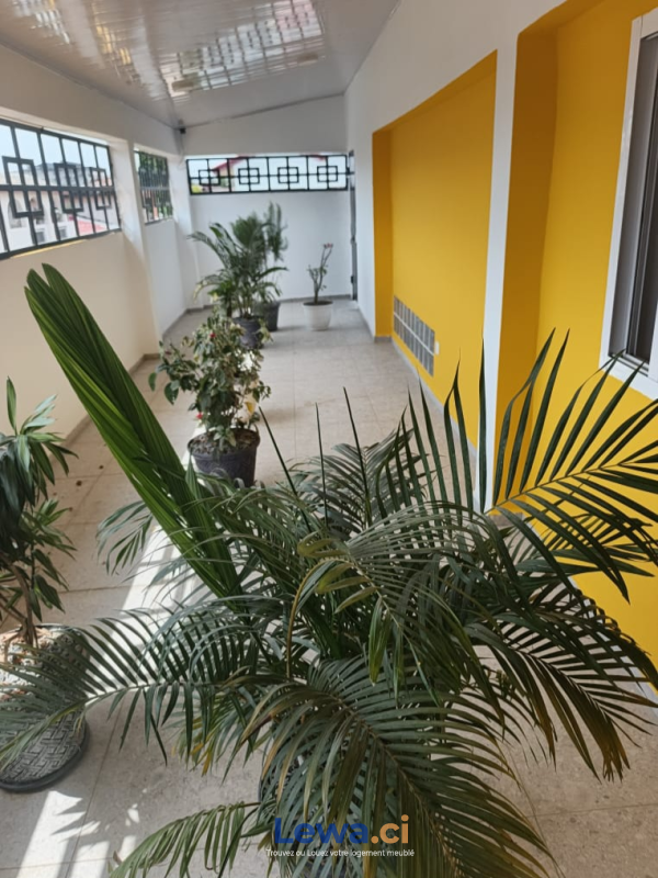 Salon de l'appartement