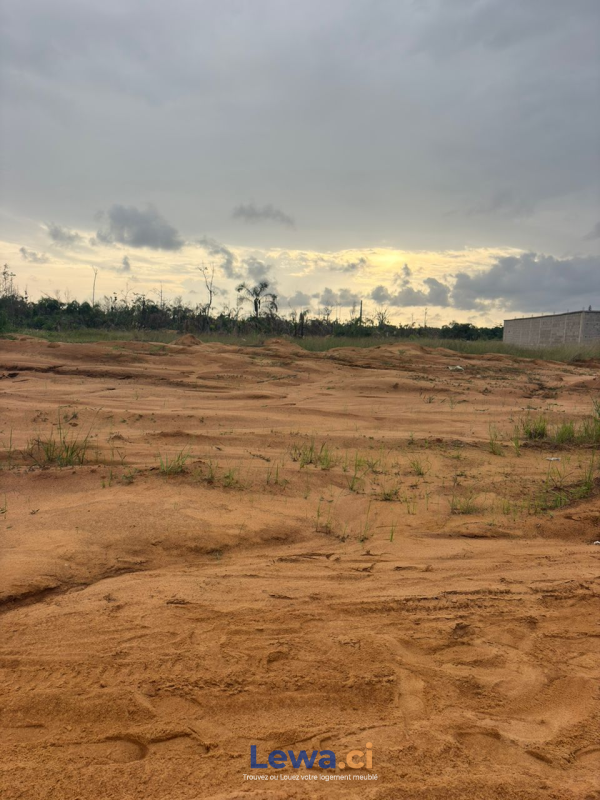 TERRAIN A YAOU