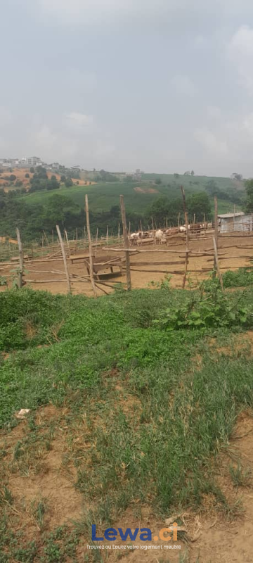 Salon de l'appartement