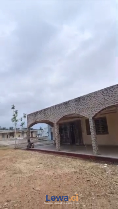 Villa basse à louer