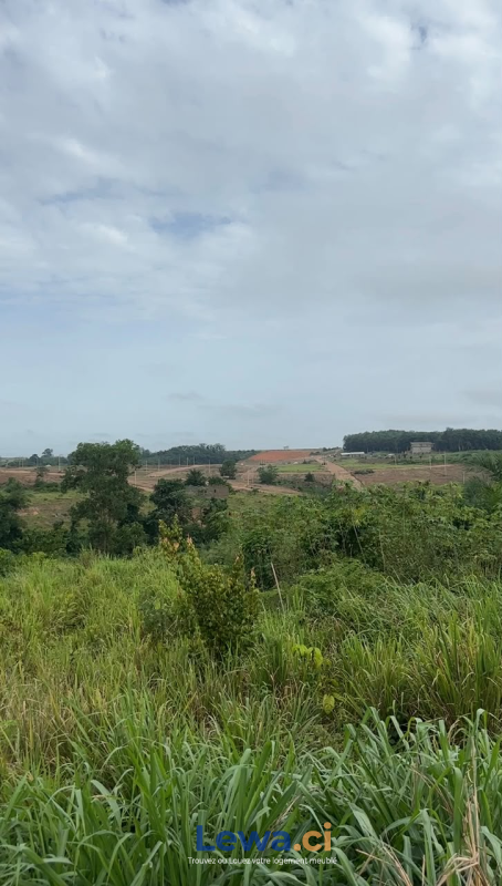 Terrain de 500m² à biens en vente à Cocody : 15 millionsFCFA - Demarcho.ci : Terrain à vendre à Cocody. Prix : 15 000 000 FCFA prix de vente. 500 m².